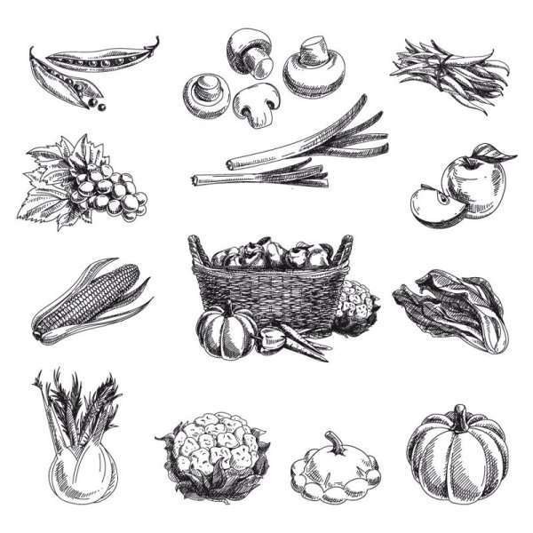 Овощи Графика