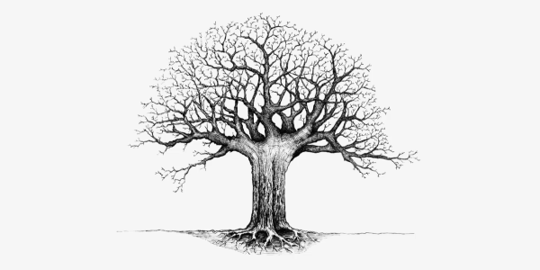 Дерево рисунок