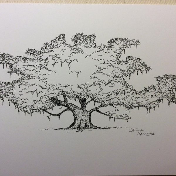 Дуб гелевой ручкой