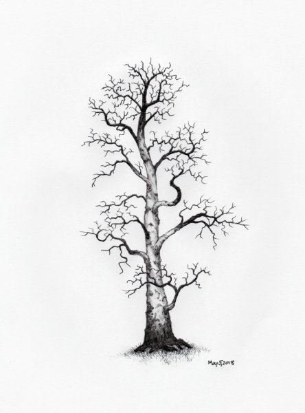 Дерево эскиз