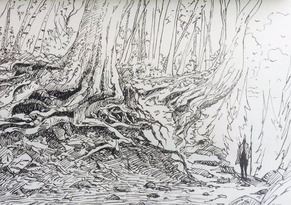 Фантастический лес в графике