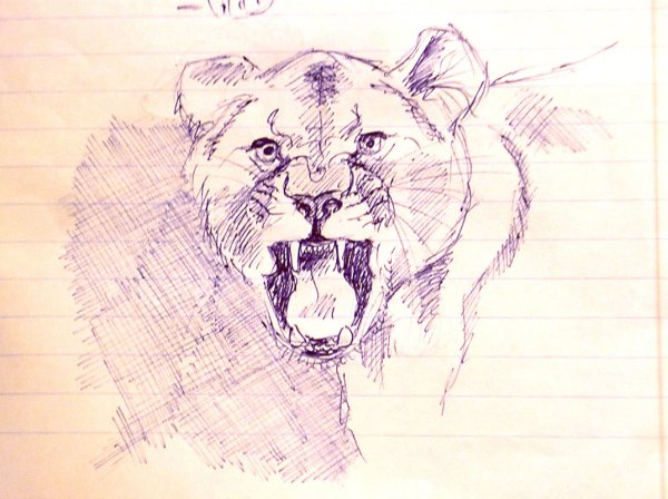 Рисунки животных ручкой