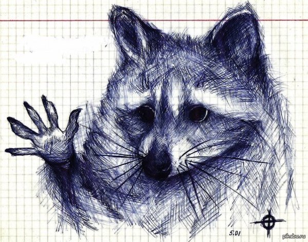 Рисунки ручкой животные