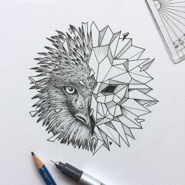 Рисунки животных ручкой