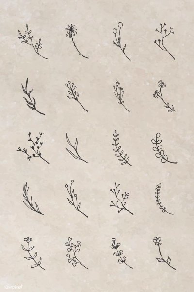 Мистер шрам