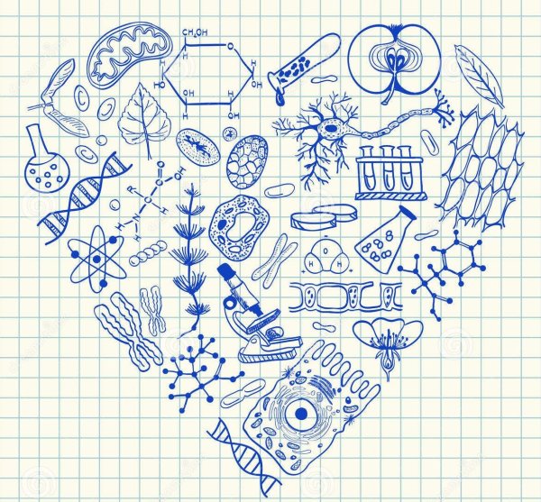 Рисунок на день матери карандашом