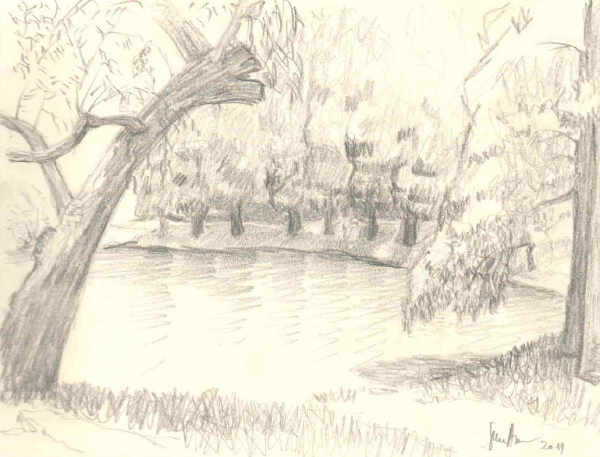 Пейзаж парка карандашом легкие