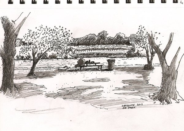 Нарисовать ручкой парк