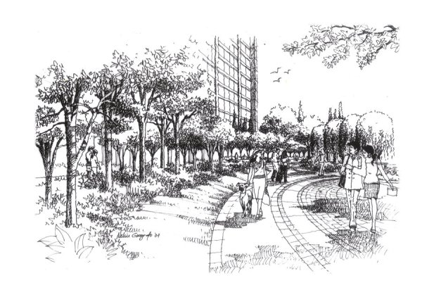 Графический рисунок парка