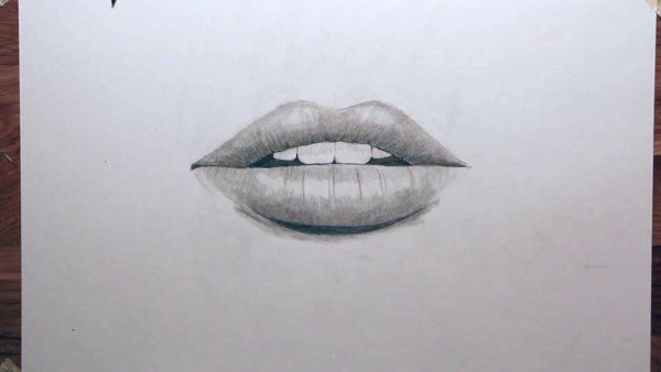 Губы ручкой