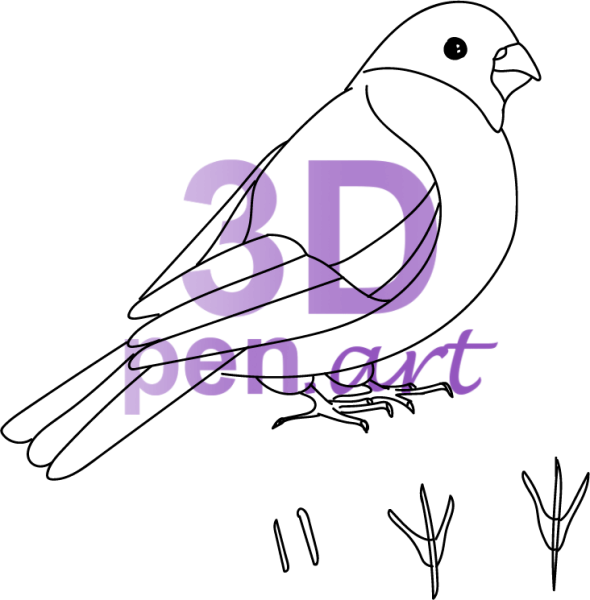 Снегирь пошаговое рисование