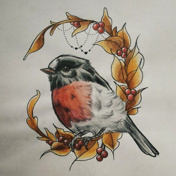 Снегирь рисунок карандашом