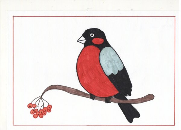 Снегирь рисунок для детей