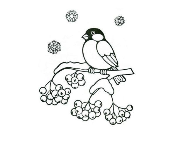 Как нарисовать воробья легко