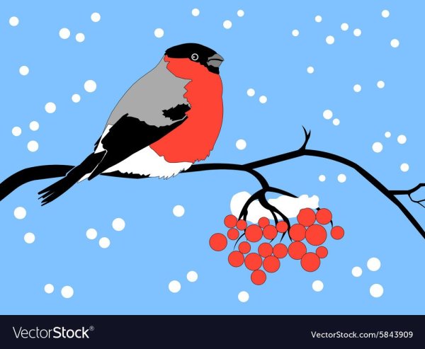 Снегирь трафарет для броши