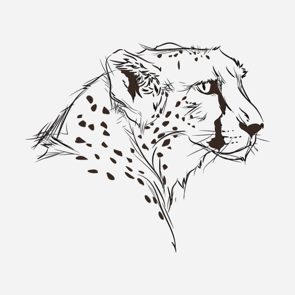 Гепард эскиз