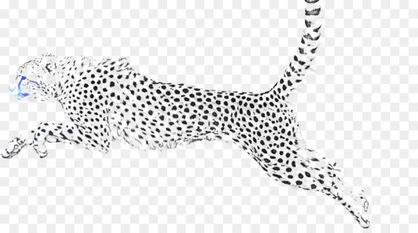 Рисунок леопарда карандашом для детей