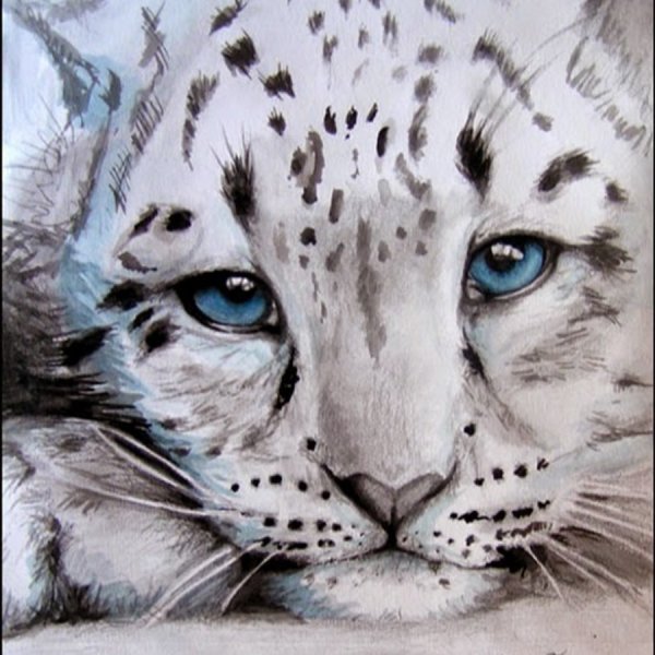 Снежный Барс акварель