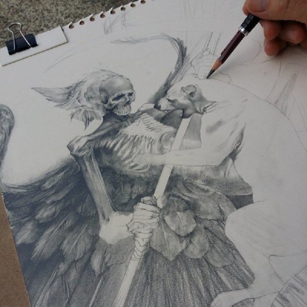 Рыбки Графика