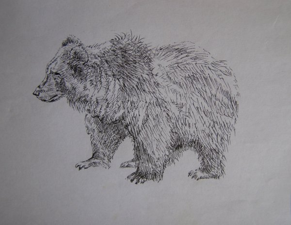 Нарисовать маленького мишку