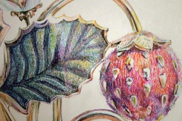 Рисунки цветными шариковыми ручками