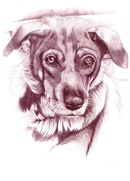 Рисунки цветными шариковыми ручками