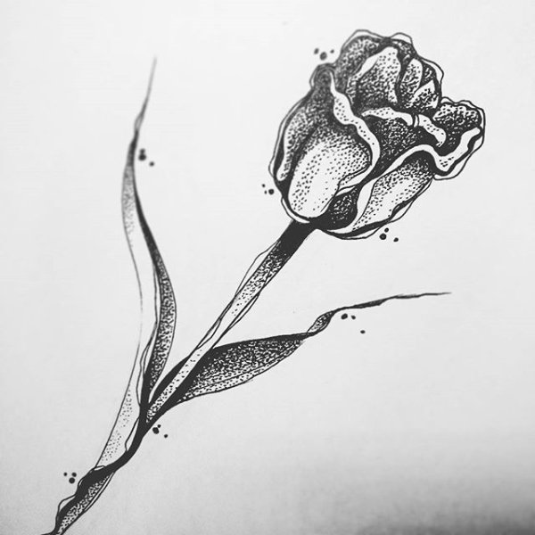 Дотворк Графика