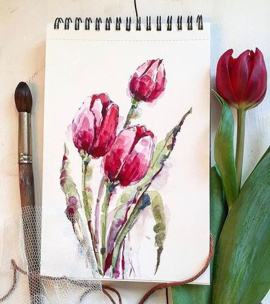 Наброски акварелью для начинающих