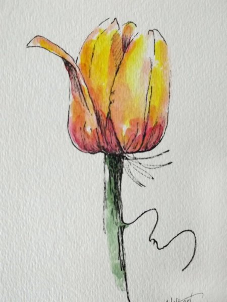 Татуировка тюльпан эскиз