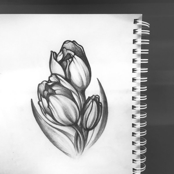 Цветы Графика