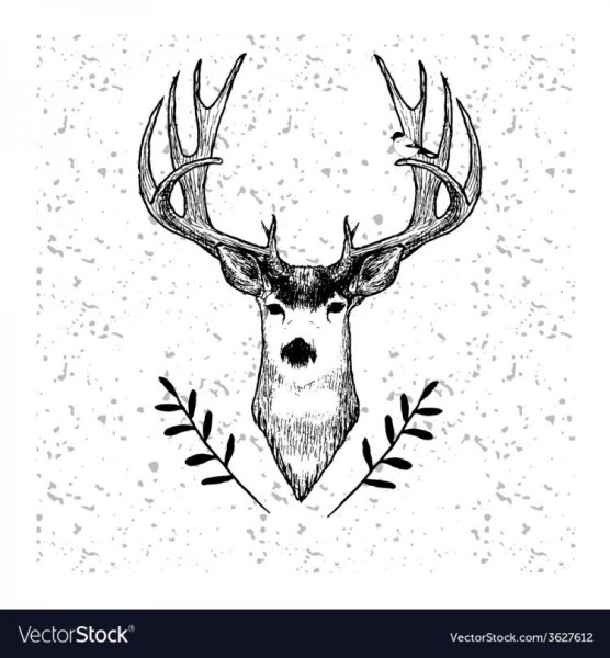 Рога оленя для срисовки