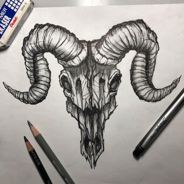 Тату Овен для мужчин эскизы