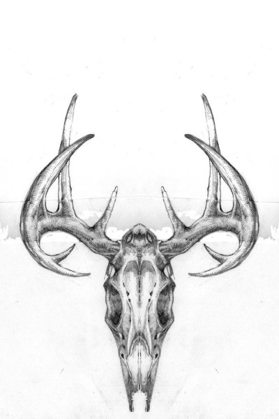 Череп оленя тату