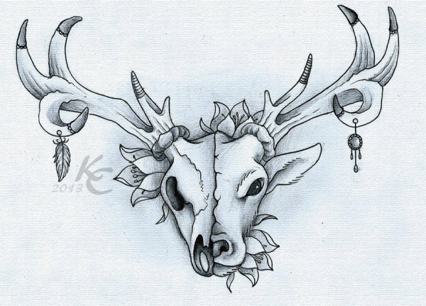 Череп оленя эскиз