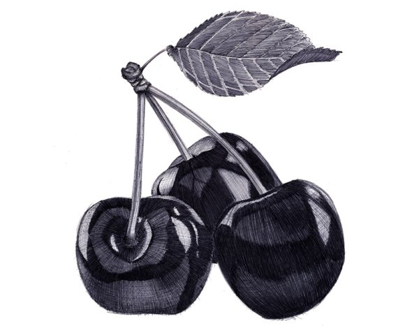 Фрукты и овощи карандашом