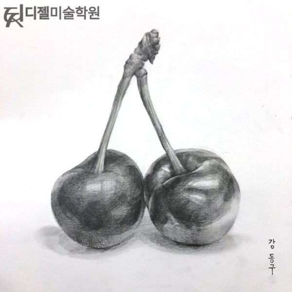 Вишня эскиз