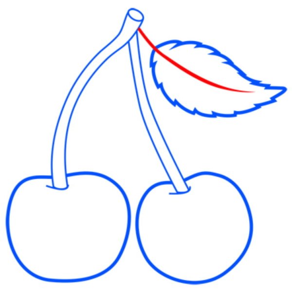 Вишня в графике