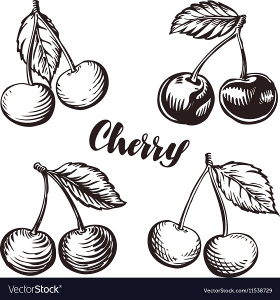 Нарисовать ветку вишни