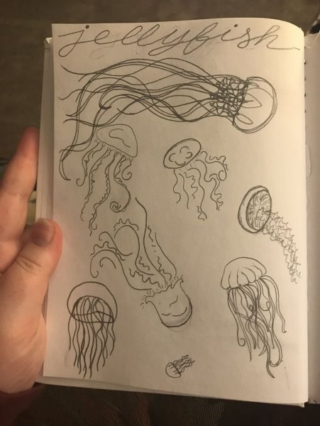 Медуза скетчбук