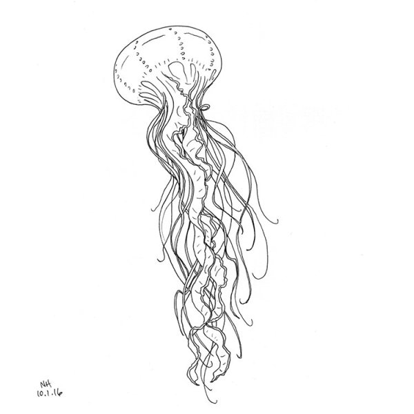 Дудлинг медуза