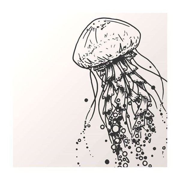 Медуза тату эскиз Минимализм