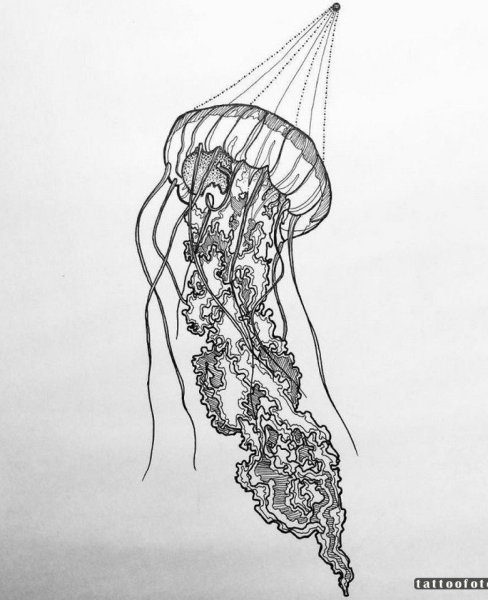 Медуза черной ручкой