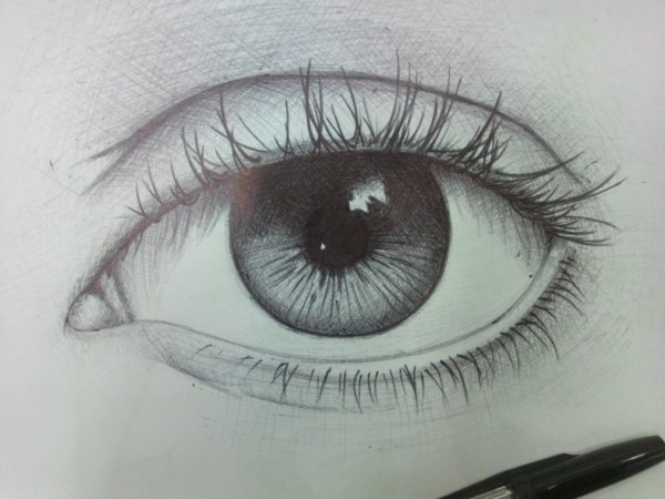 Рисунки чёрной ручкой