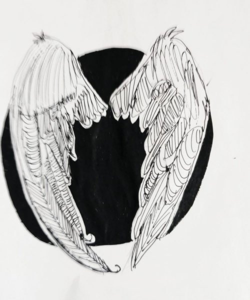 Крылья гравюра