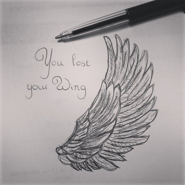 Крылья для срисовки легкие