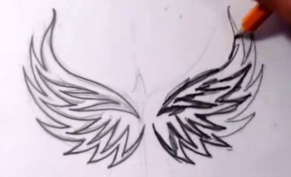 Рисунок тату пошагово Крылья