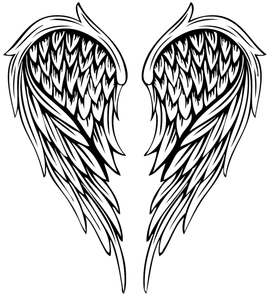 Крылья эскиз