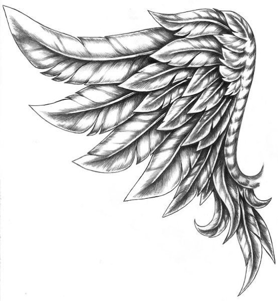 Крылья эскиз