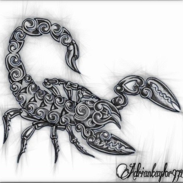 Скорпион эскиз для броши