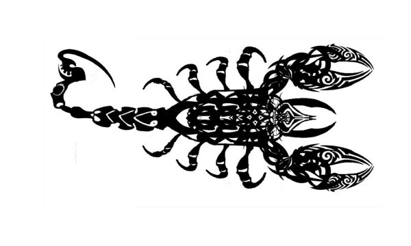 Скорпион рисунок